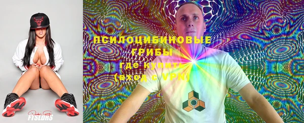 прущая мука Остров